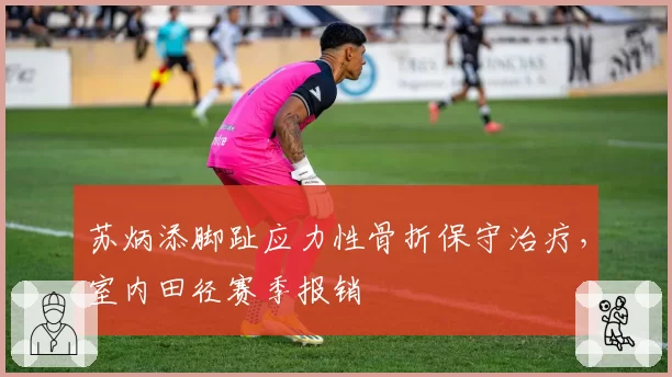 苏炳添脚趾应力性骨折保守治疗，室内田径赛季报销