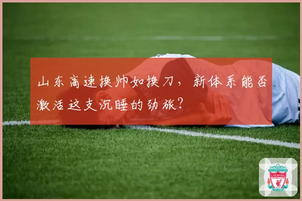 山东高速换帅如换刀,新体系能否激活这支沉睡的劲旅?
