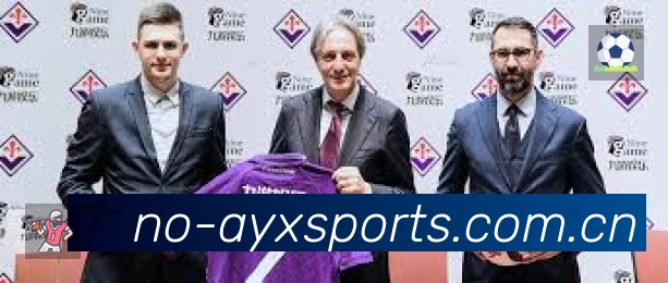 全球访问热力分布图